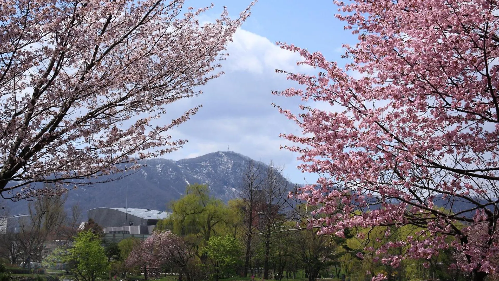Apartmán Eve Sapporo Japonsko